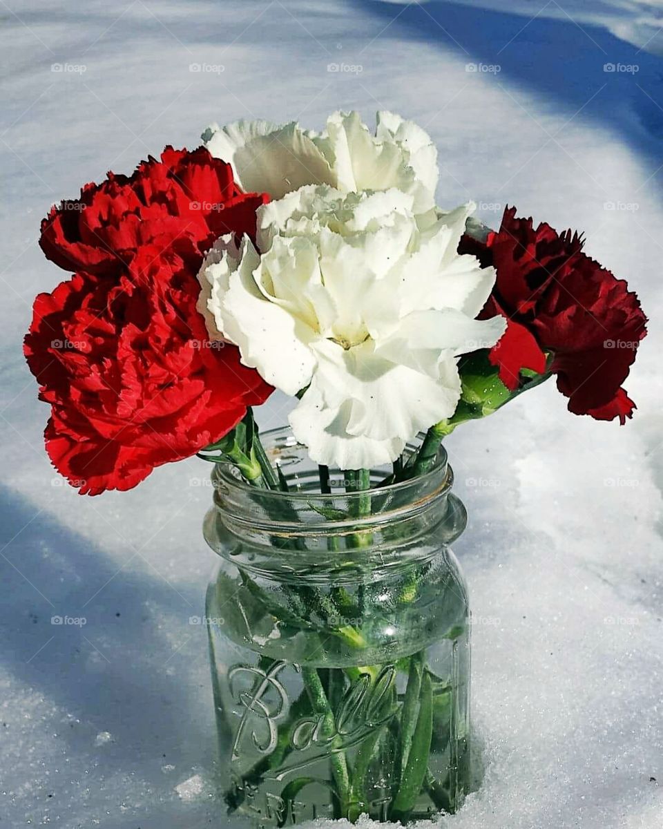 Carnations in Ball jar