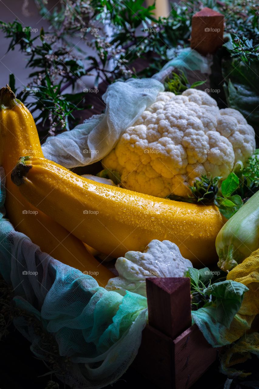 zucchini harvest