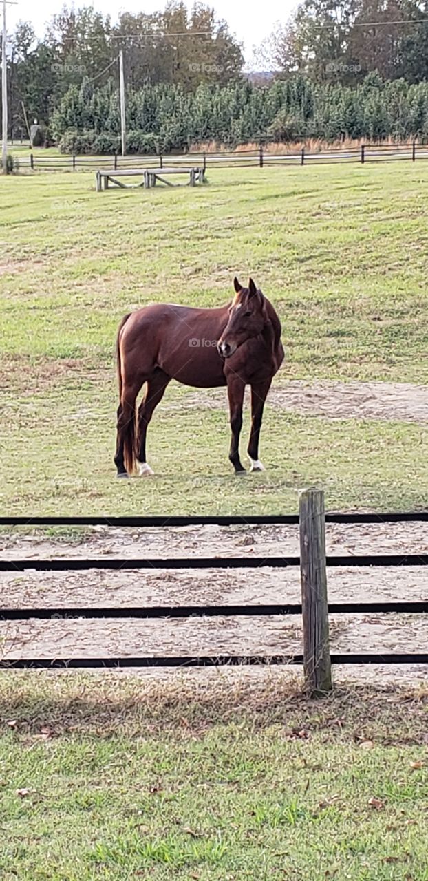 posing for a picture