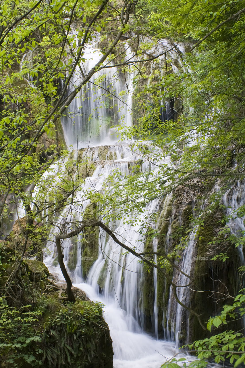 white waterfall behind branches with fresh green leaves