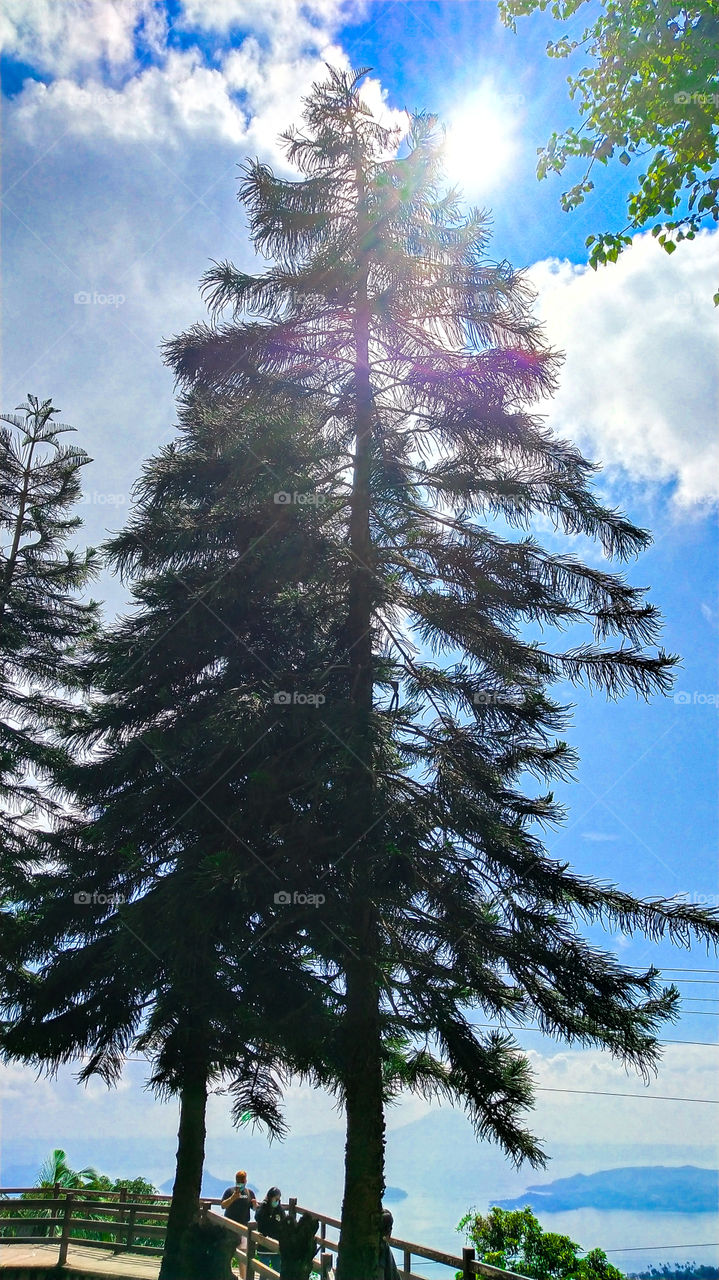 when you look up to see color nature!