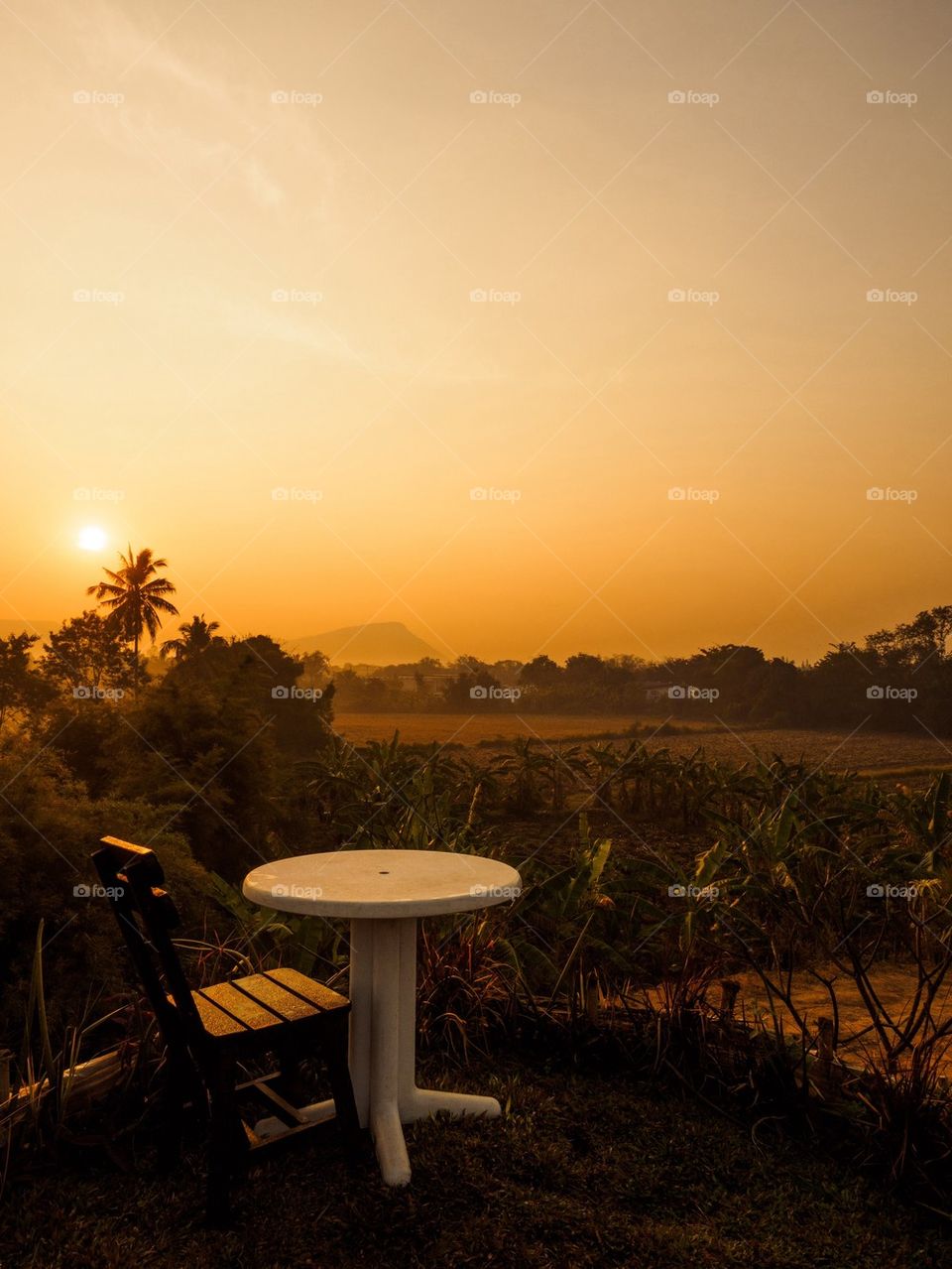 Empty chair with table at agricultural landscape