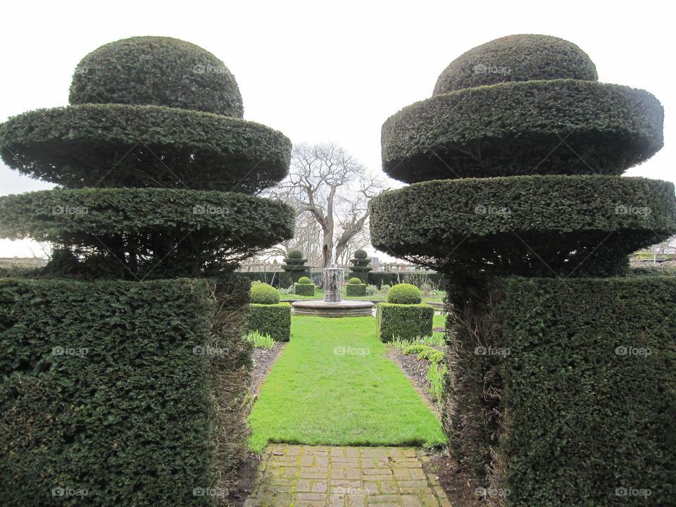 Garden, Hedge, Architecture, Lawn, No Person