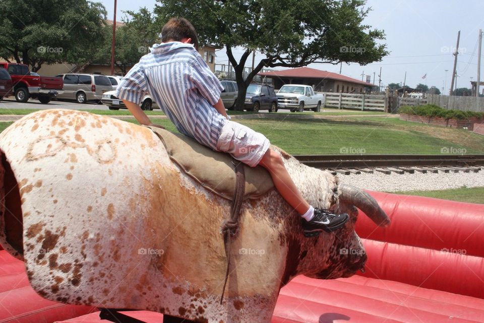 Mechanical bull