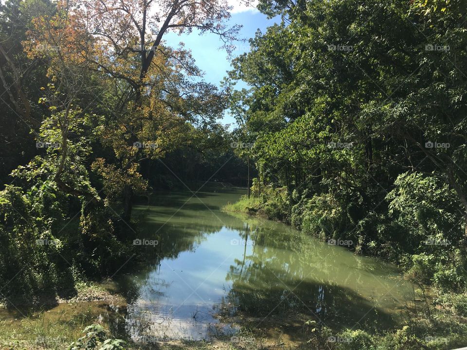 a tree planted by the rivers of water