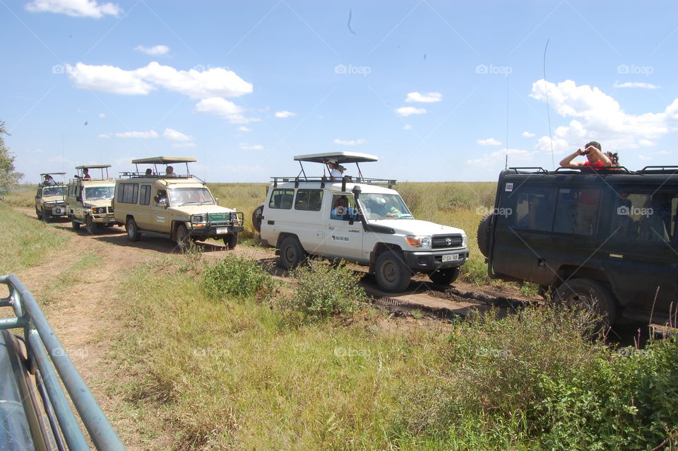 Tourists on safari in Serengeti National park in Tanzania Africa.