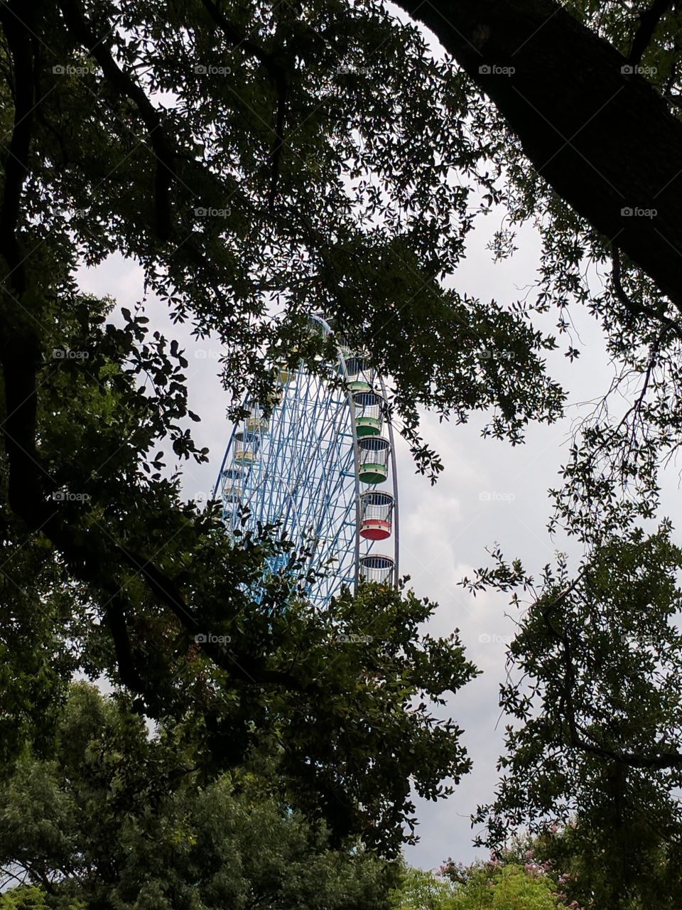 ferris at the fair