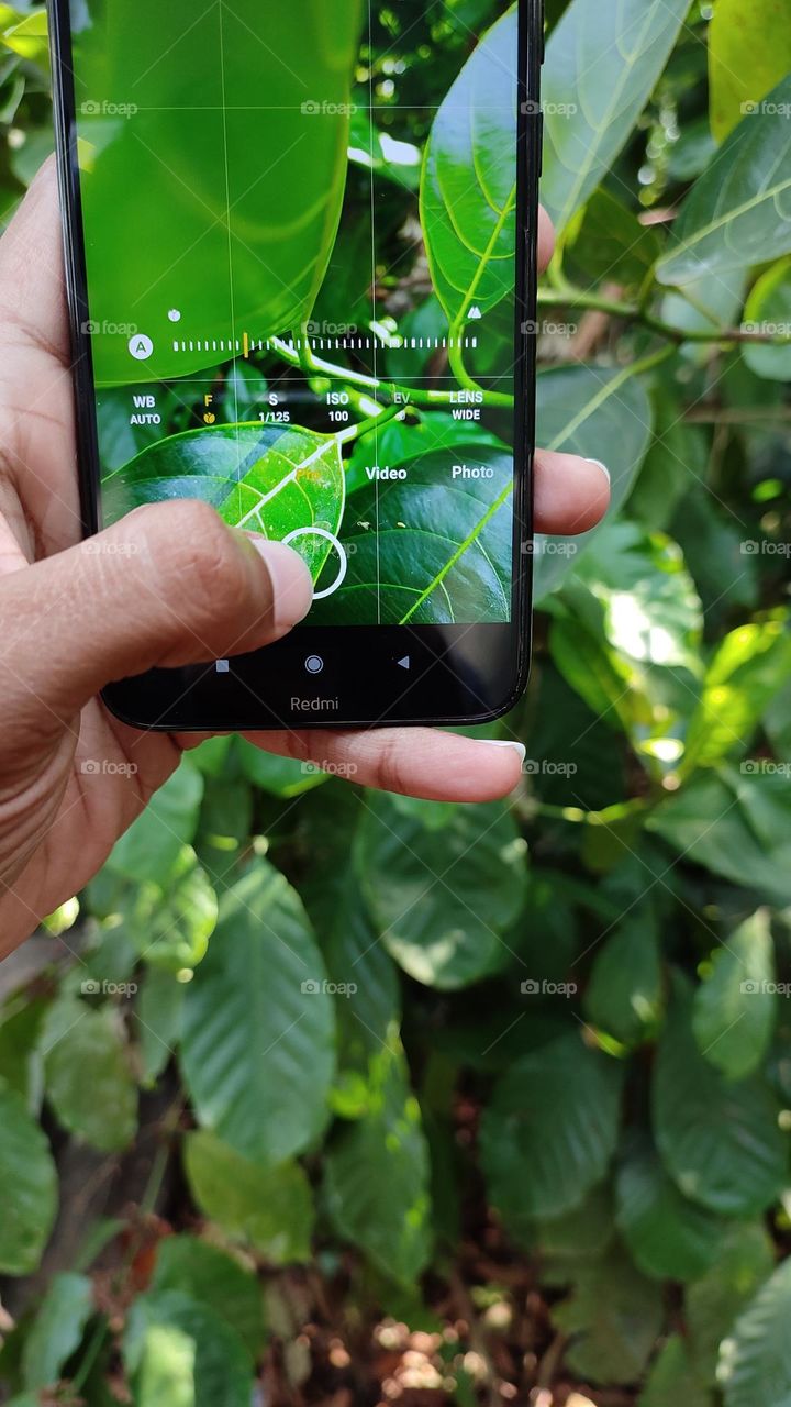 Clicking a picture with mobile camera, adjusting mobile camera settings