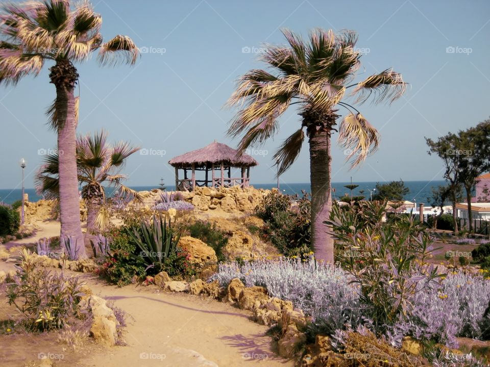 Alexandria Egypt. Beach on The Corniche