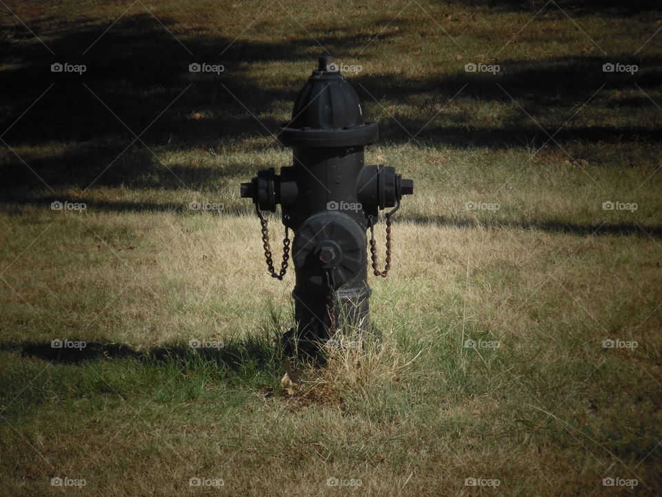 Blackie. This is a oops photo 📷 that I took on accident. 👣 🚶 🏃 🔥 💨