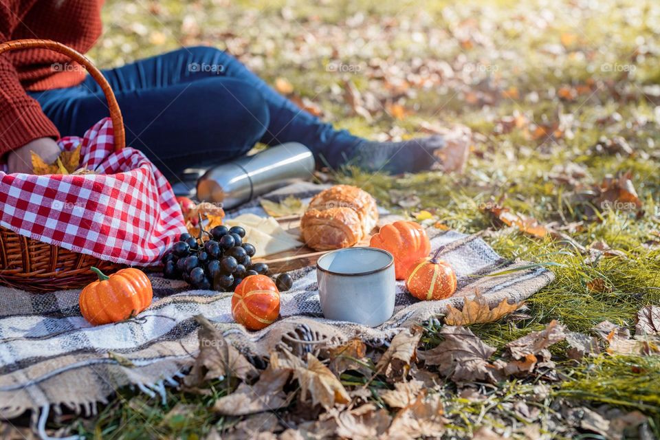 picnic in the park