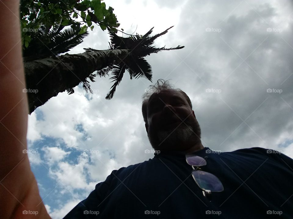 Palmeiras Céu Nublado