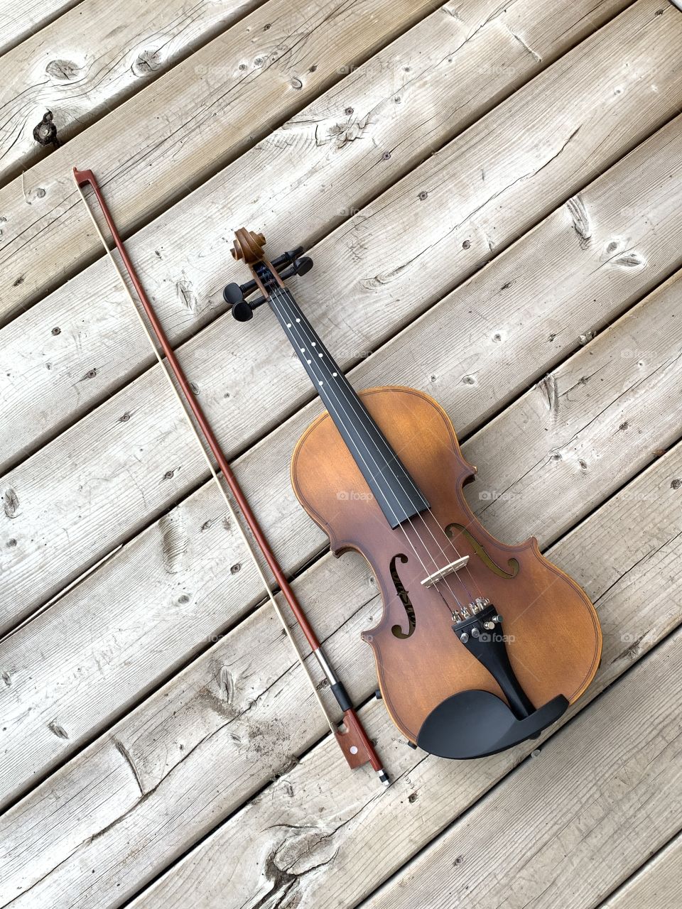 Violin