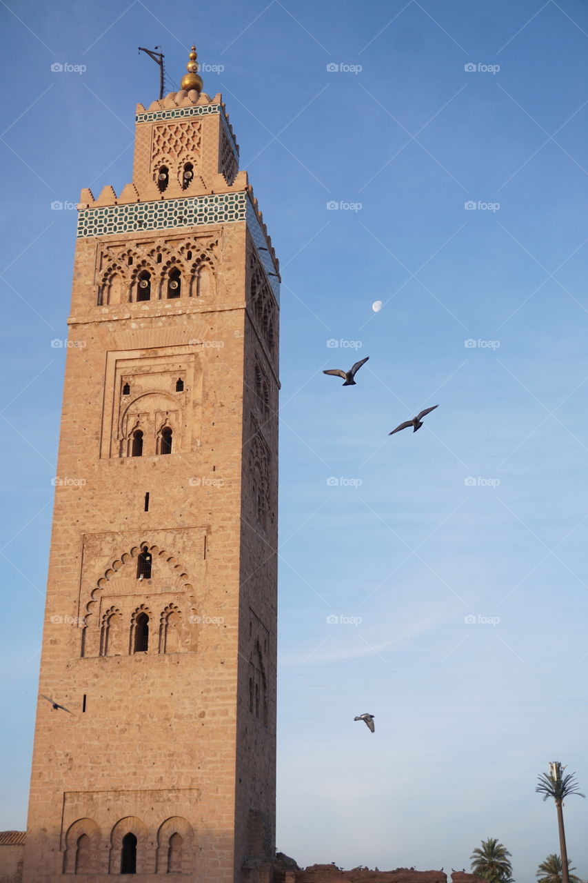 mosque and pigeons on Marrakesh