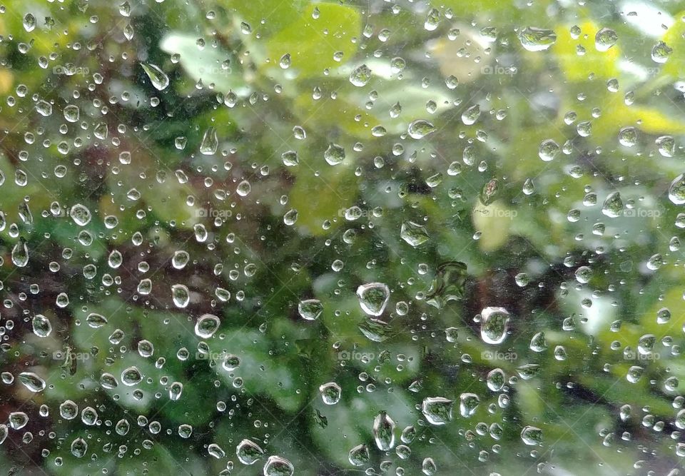 rain regen wasser nass water H2O grün window