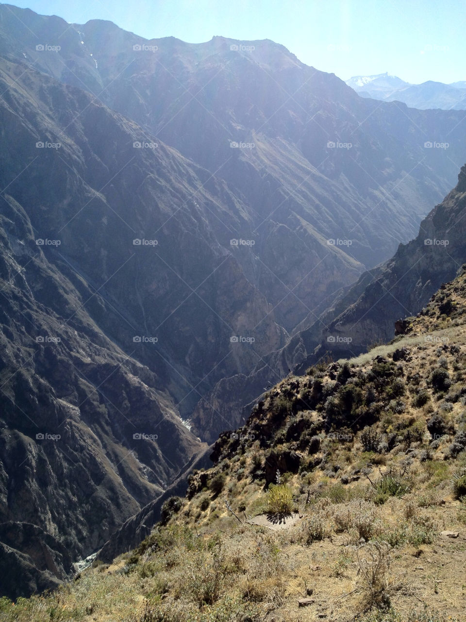 peru canyon andes arequipa by echinen