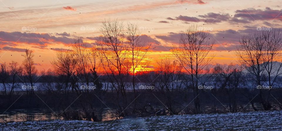 Birds flying over river during cold winter day in search for safe place to spend the night
