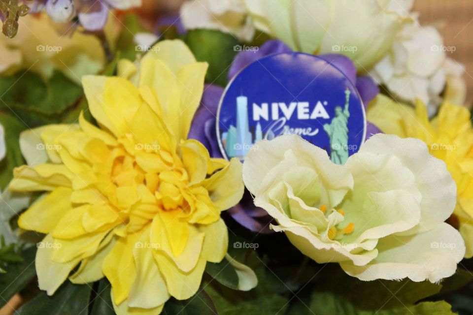 Nivea is in full bloom with bright flowers