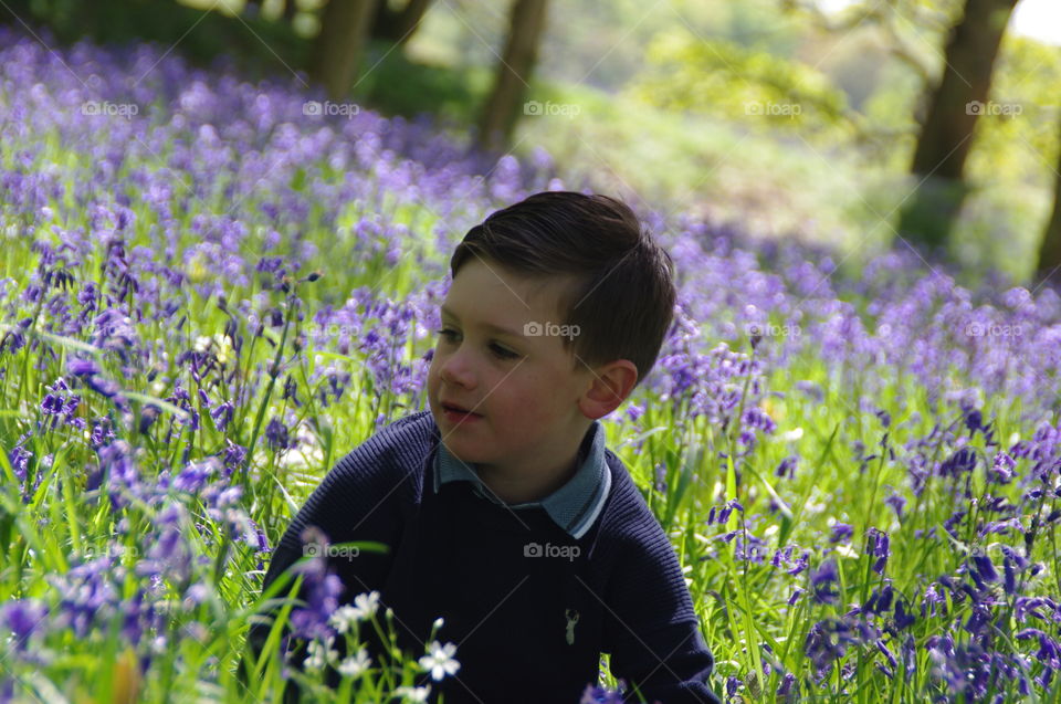 Boy in the bluebells 