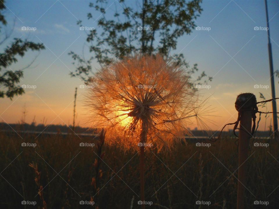 summer dawn in the city of Kiev