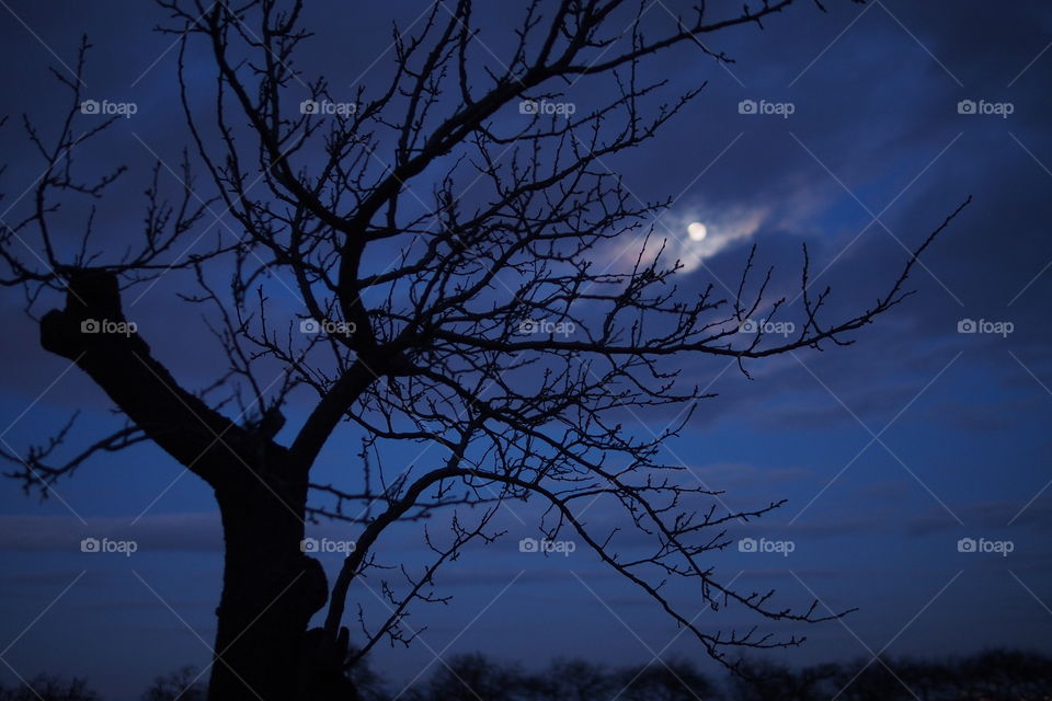 far away on the moon