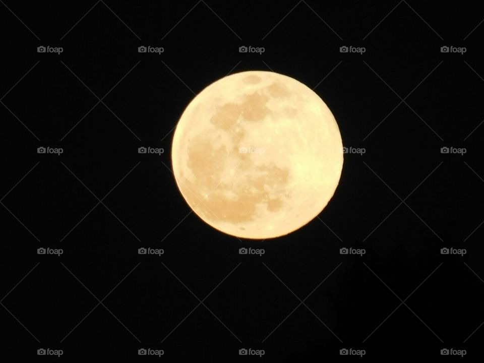 yellow moon