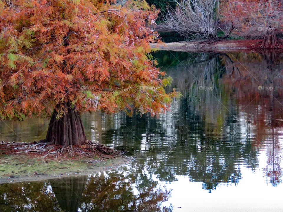 Fall