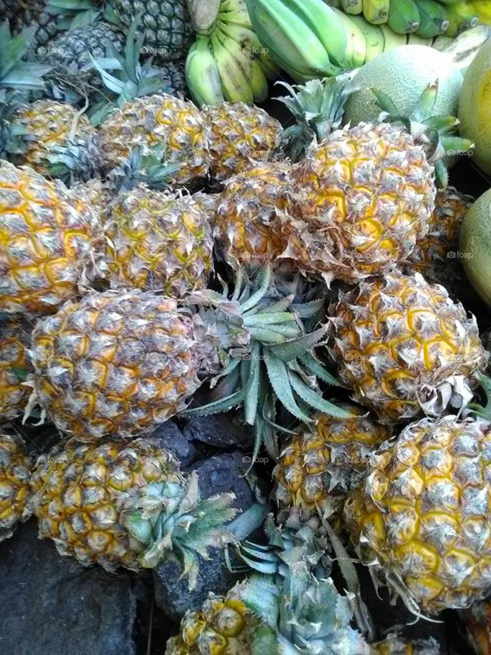 Exotic Pineaple