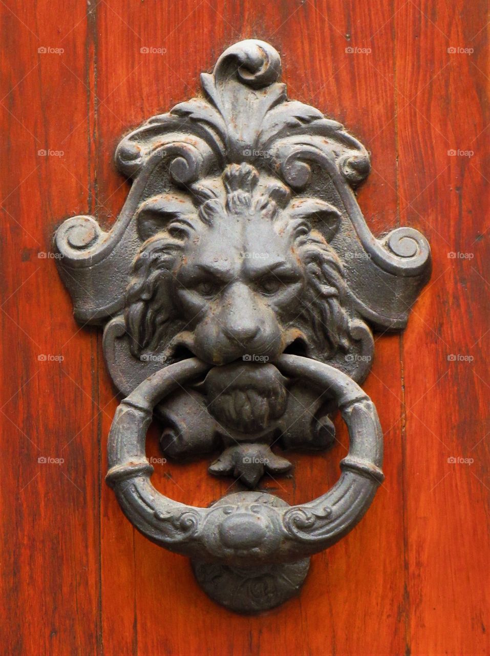 knocker