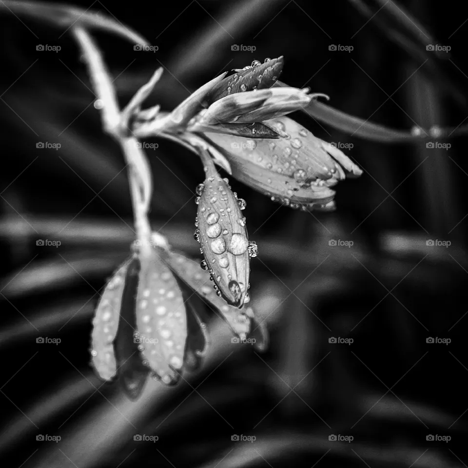Droplets