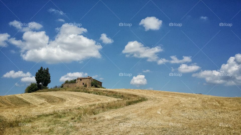 Grassy landscape against cloudy sky