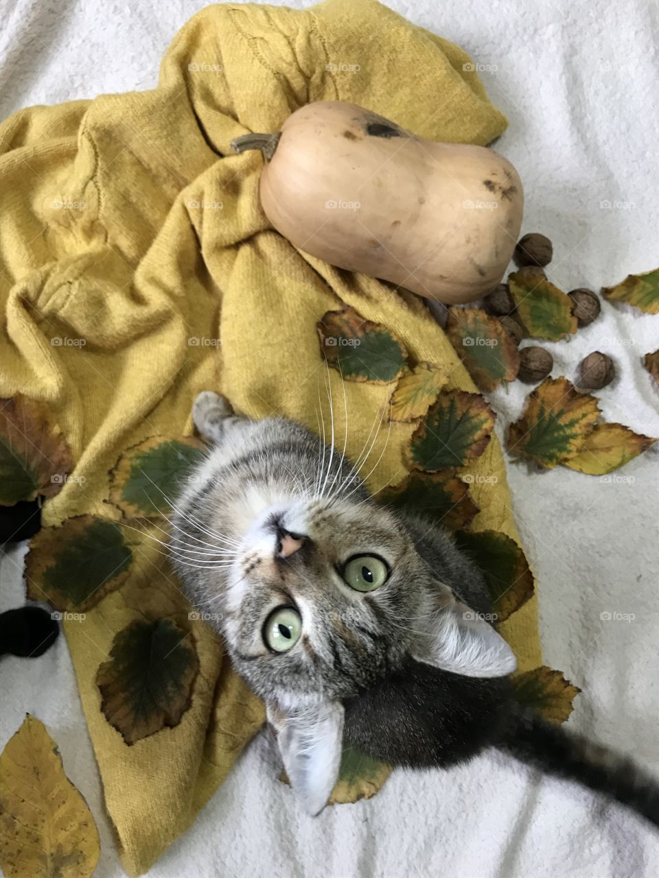 Hey! What you’re up to?