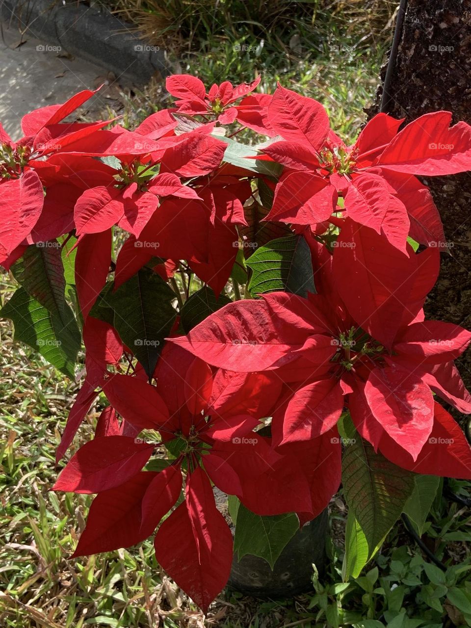 📷 Colors Explosion 