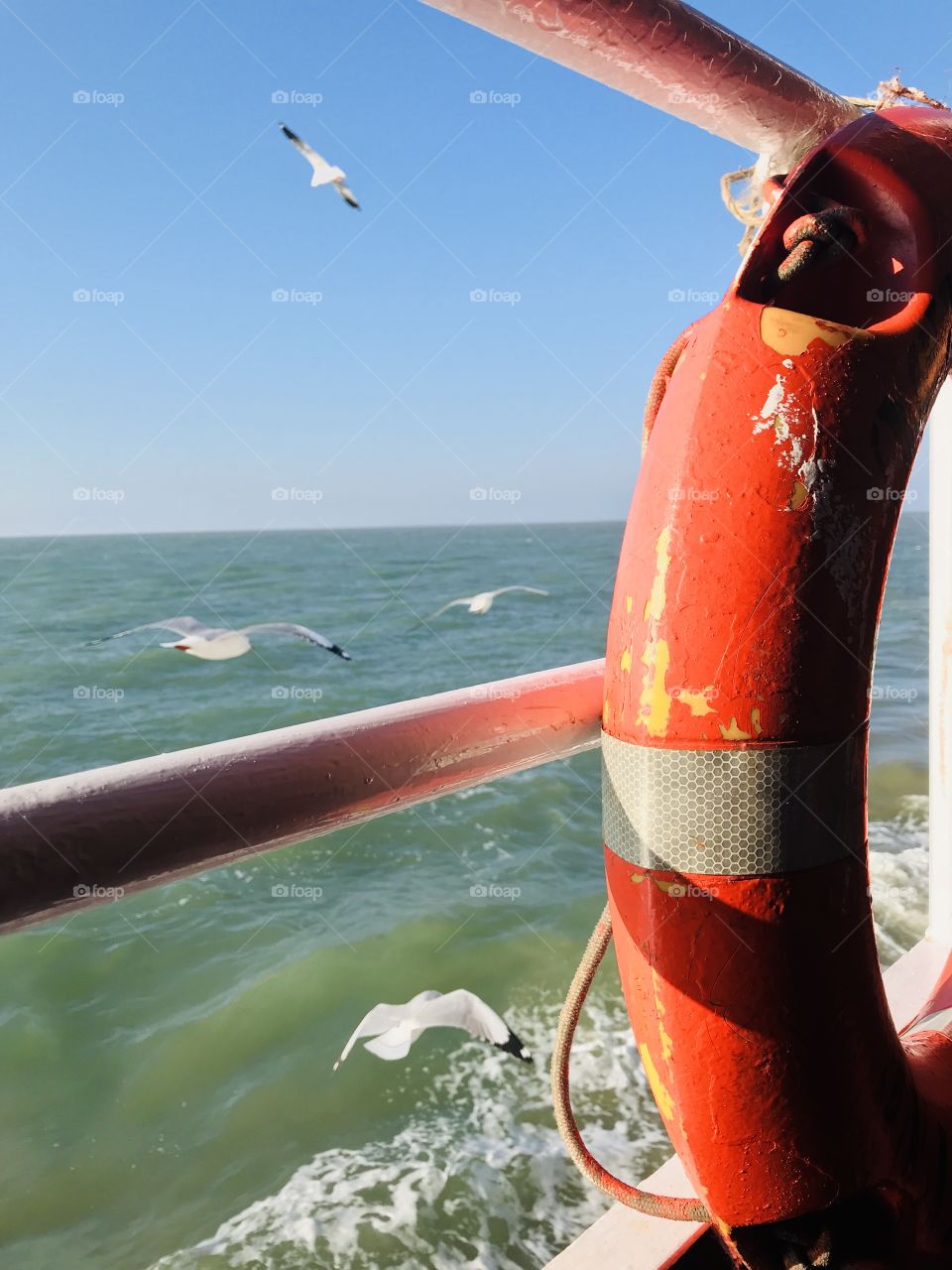 A Beautiful click from a Ship , lots of seagull birds are flying with the ship for reaching their destination where the ship wants to ! 