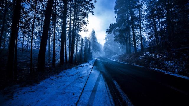 Out of the fog