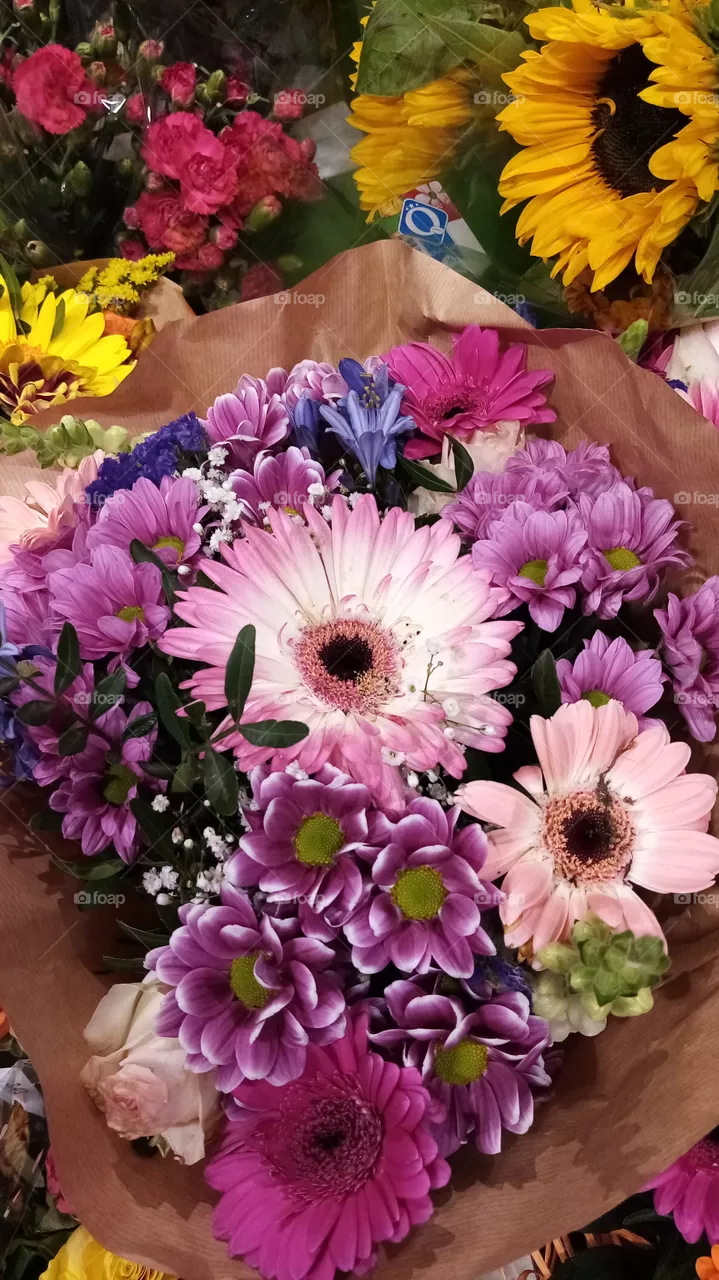 Blumen