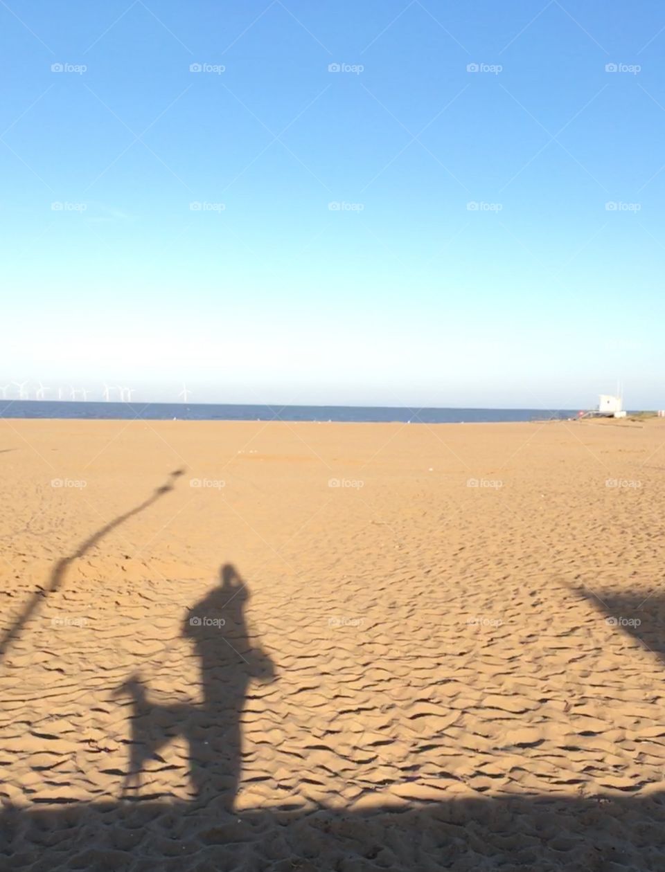 Skegness beach just before sunset with lady and whippet silhouette shadow and wind farm on the horizon 