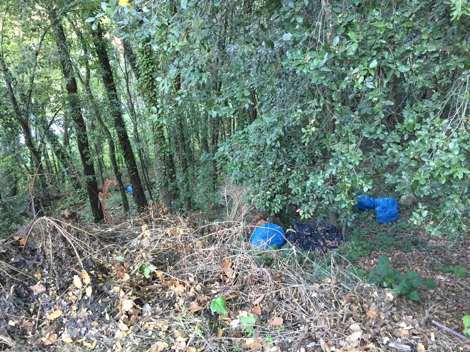 no respect for the environment!