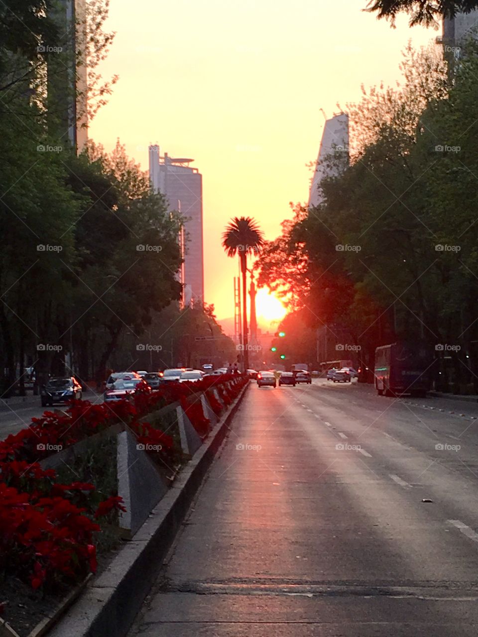 Reforma Avenue