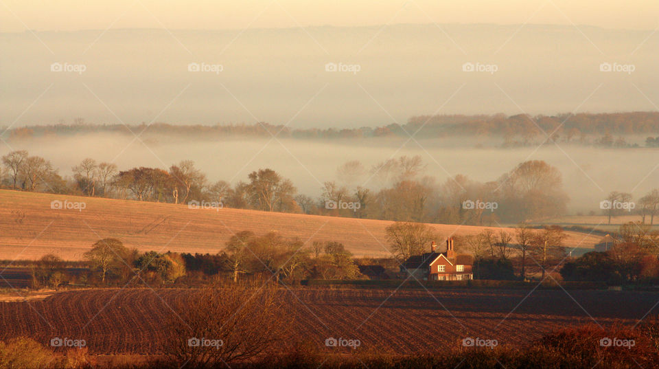 Misty morning