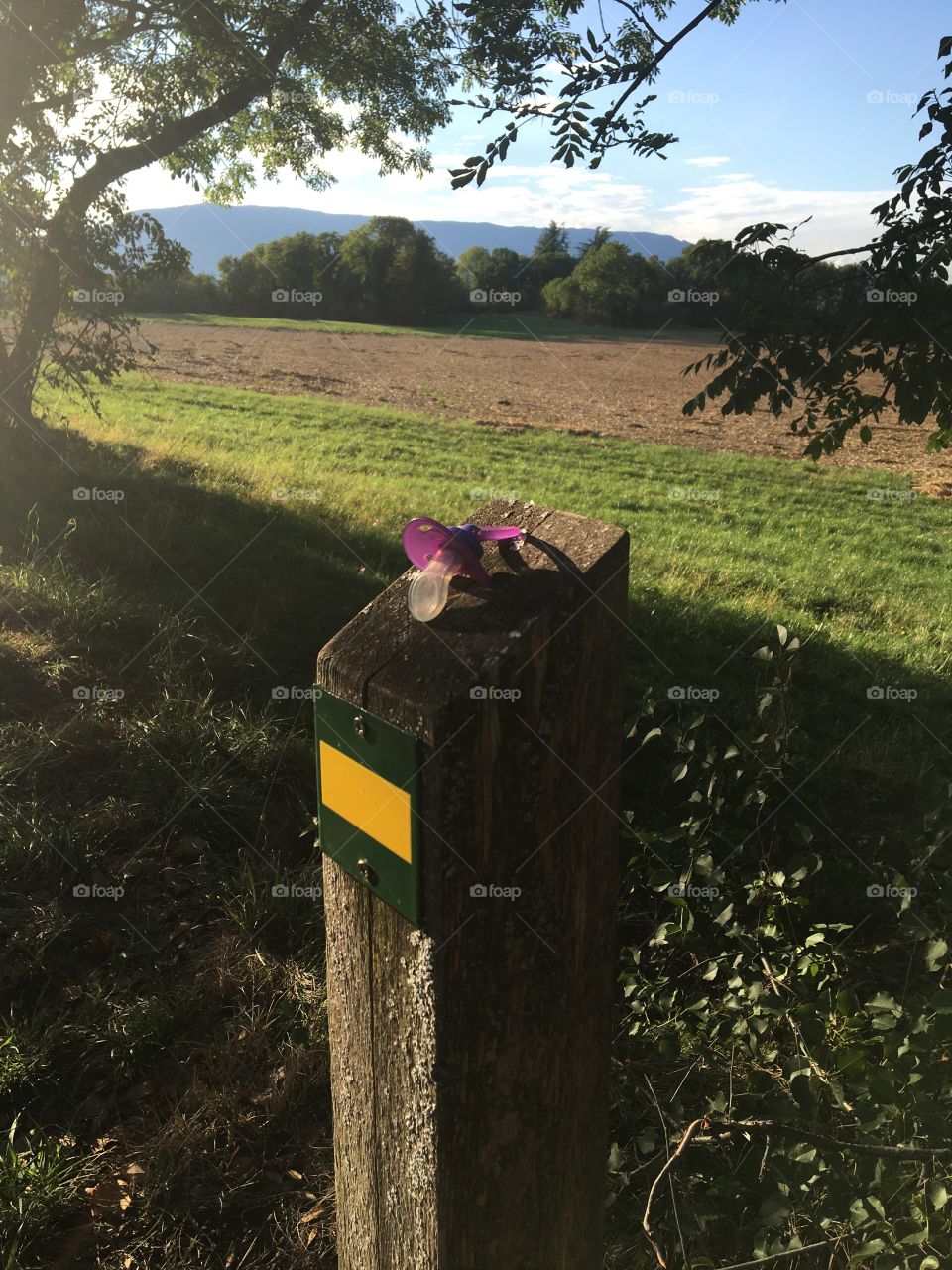 Pacifier lost on the trail