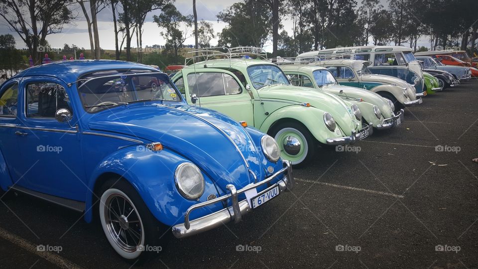 VW Beetles car sho