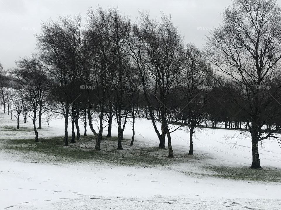 Snow golf