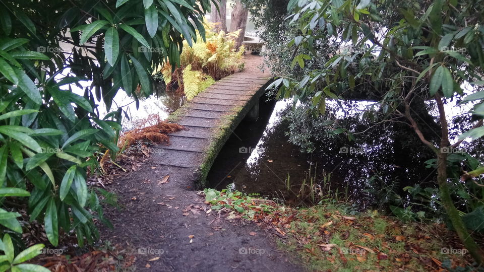 A path leading on a bridge in North Ireland