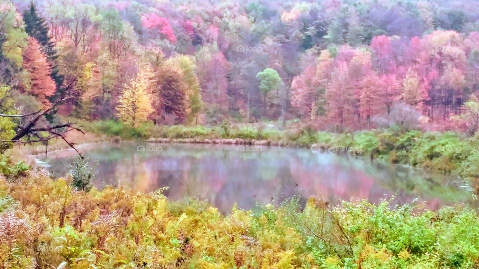 Western NYS in October