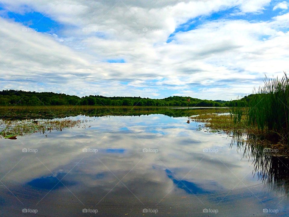 Great Meadows National Wildlife Refuge Concord 