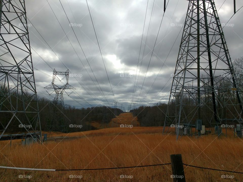 power lines running through a swath cut into the woods