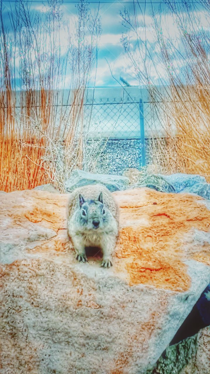 living BEAUTIFULLY & WONDERFULLY Made