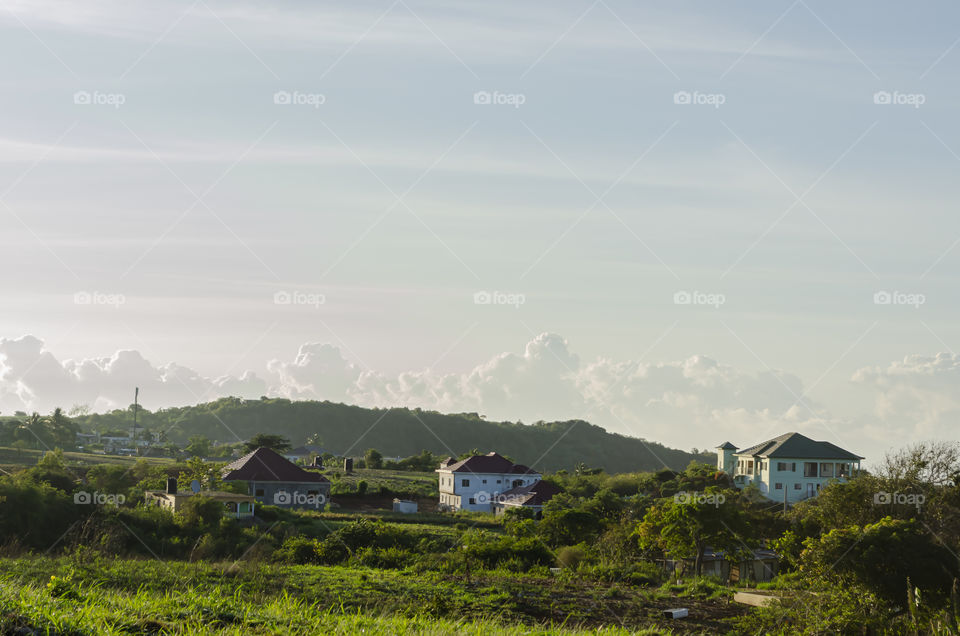 Morning Sunlight On Rural Landscape