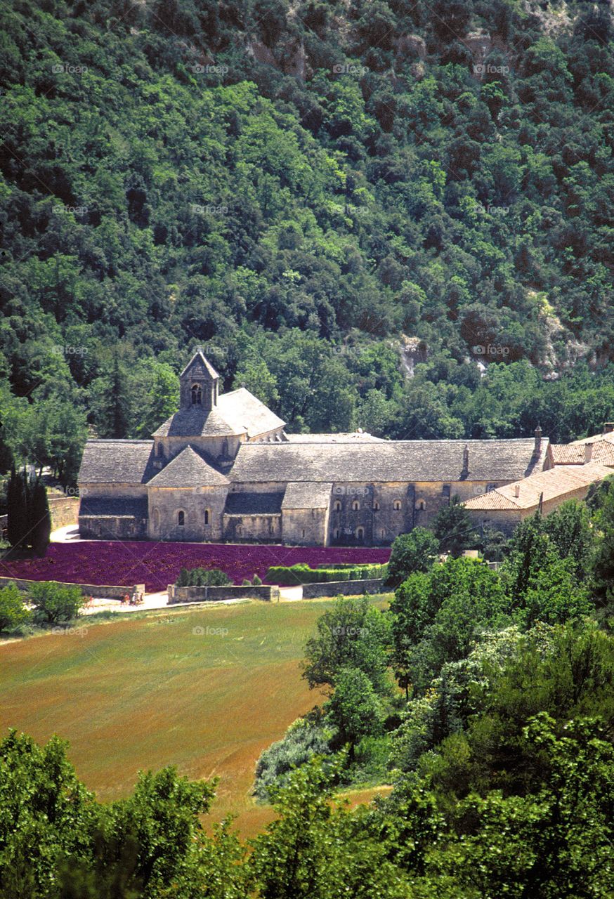 Abbey. Abbey Provence France 